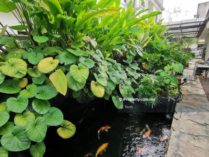 Rumah Berangkai 1 Tingkat untuk Disewa di Pju 1, Petaling Jaya oleh JC Teoh - iProperty.com.my