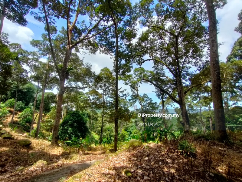 Agricultural Land for Sale in Pulau Penang, Bayan Lepas by Sean Liew - iProperty.com.my