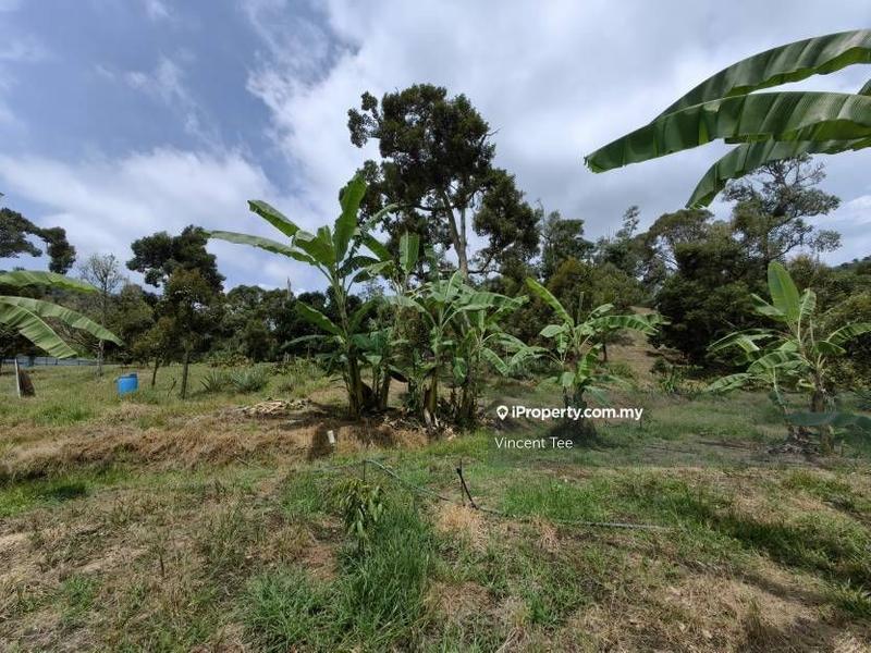 Tanah Pertanian untuk Dijual di Cheroh, Raub oleh Vincent Tee - iProperty.com.my