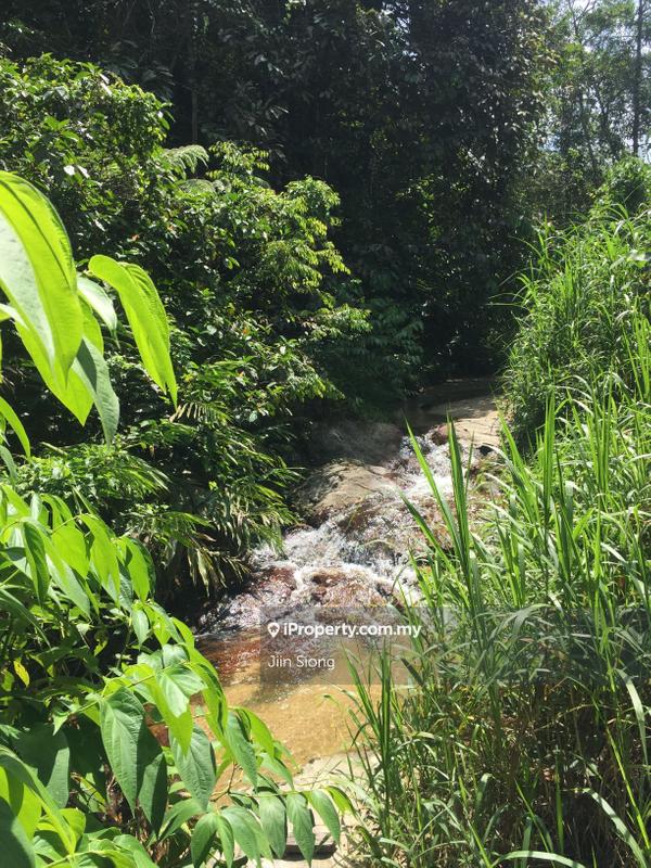 Stream in front (within Lot)