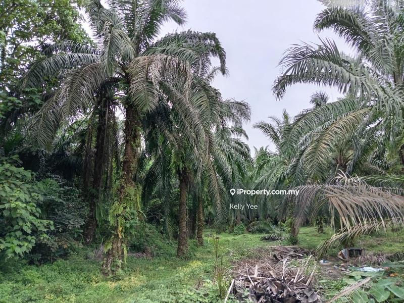 Tanah Kediaman untuk Dijual di Sungai Jawi, Penang oleh Kelly Yee - iProperty.com.my