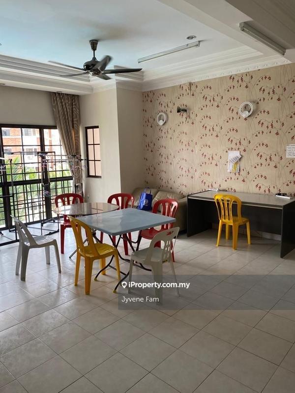 For Sale - Evergreen Park Scot Pine