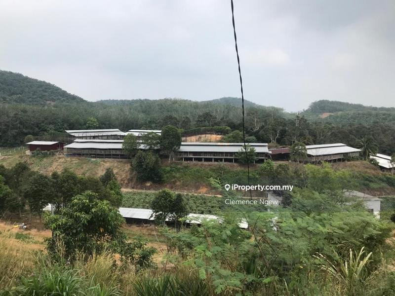 Tanah Pertanian untuk Dijual di Kota, Rembau, Seremban oleh Clemence Ngew - iProperty.com.my