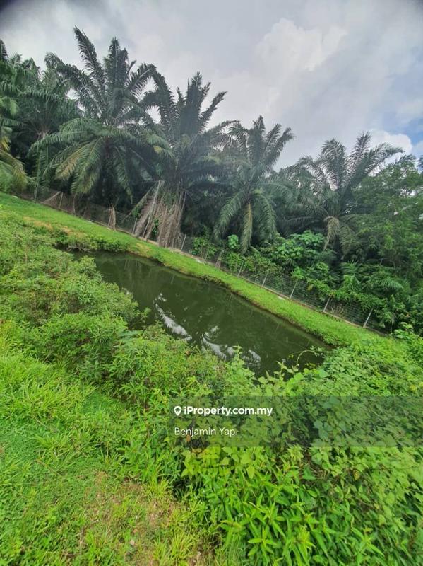 Agricultural Land for Sale in Panchor, Durian Tunggal by Benjamin Yap - iProperty.com.my