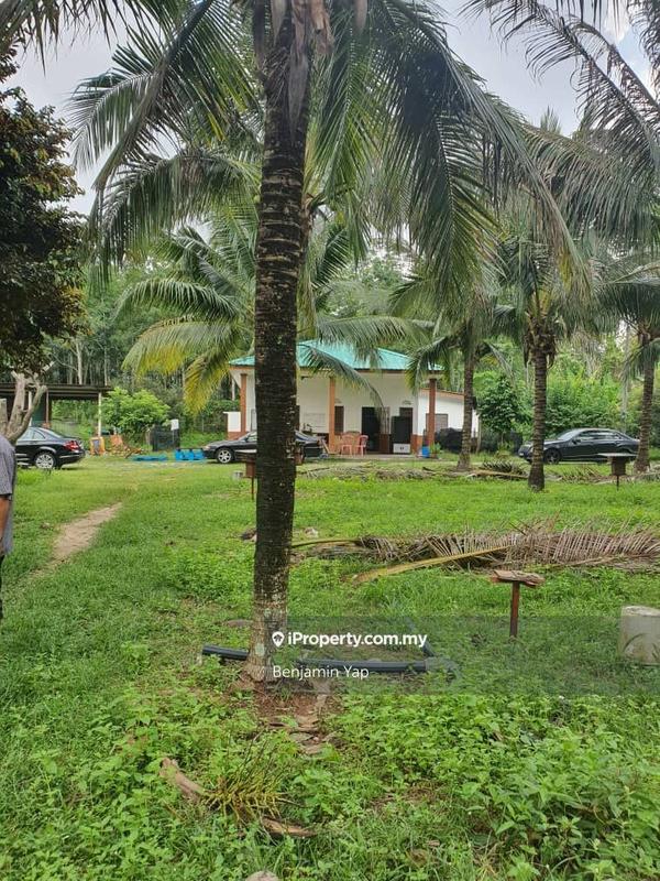 Agricultural Land for Sale in Panchor, Durian Tunggal by Benjamin Yap - iProperty.com.my