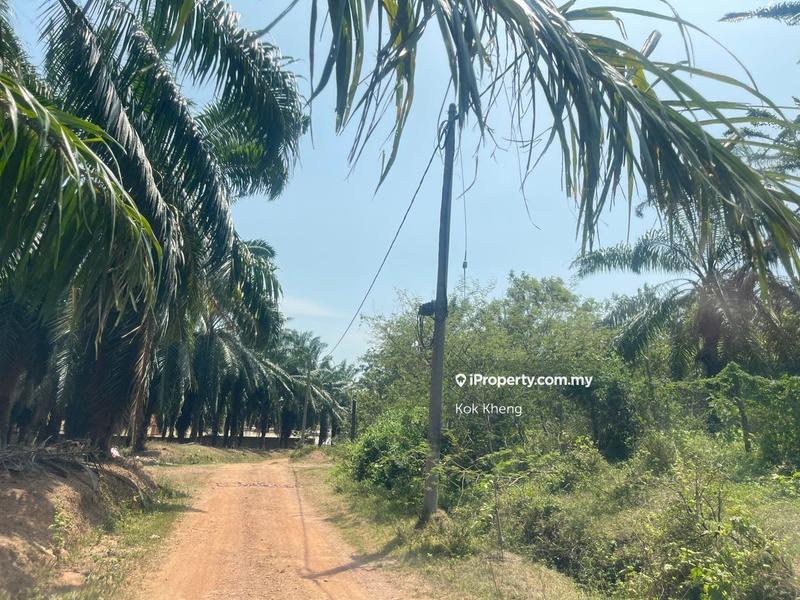 Agricultural Land for Sale in Ayer Paabas, Alor Gajah by Kok Kheng - iProperty.com.my