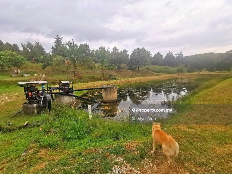 Agricultural Land for Sale in Slim River, Perak by Sherlyn Yeoh - iProperty.com.my