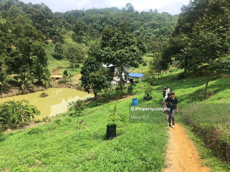 Tanah Pertanian untuk Dijual di Bentong, Pahang oleh Marie CLP - iProperty.com.my