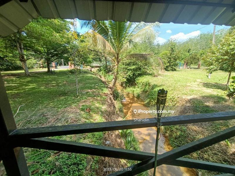 Banglo Tanah untuk Dijual di Linggi, Port Dickson oleh Shahidin - crystal clear creek with local fishes (haruan etc) - iProperty.com.my