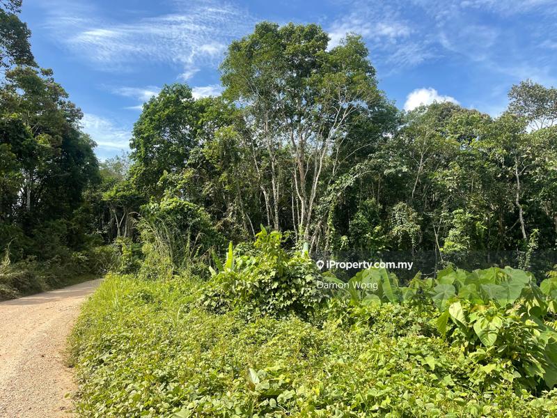Agricultural Land for Sale in Sungai Dua, Bentong by Damon Wong - iProperty.com.my