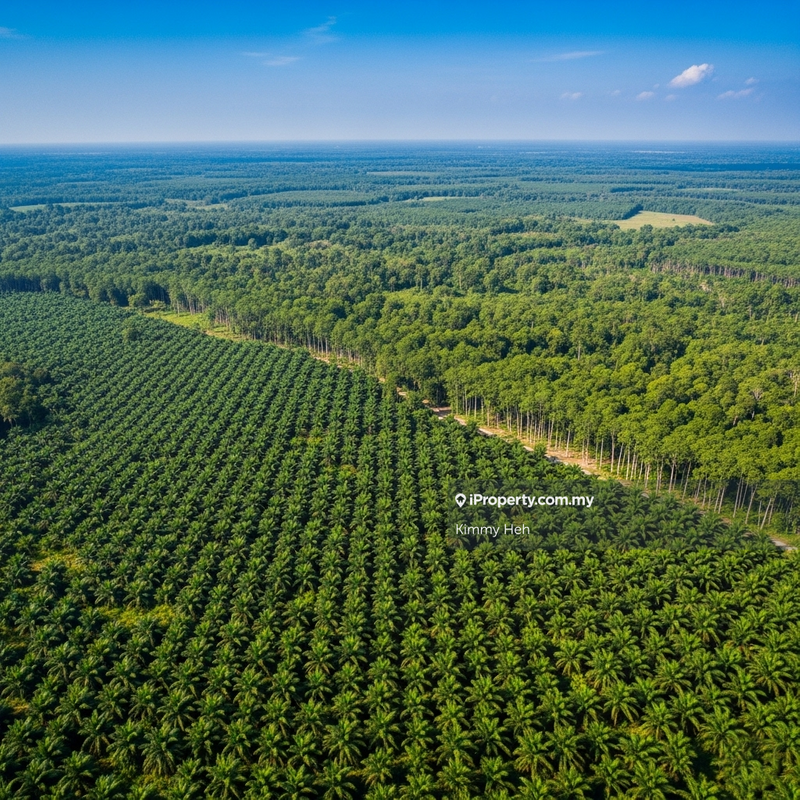 Industrial Land for Sale in Bandar Baru Enstek, Bandar Enstek by Kimmy Heh - iProperty.com.my