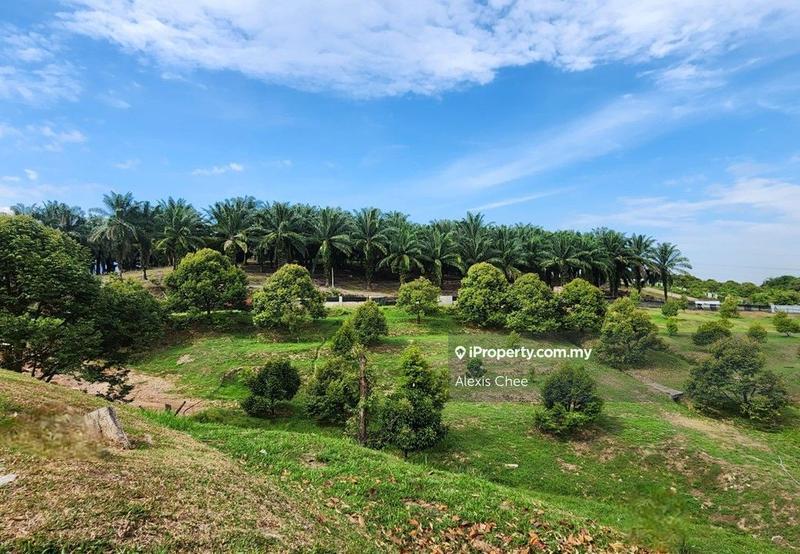 Agricultural Land for Sale in Gopeng, Perak by Alexis Chee - iProperty.com.my