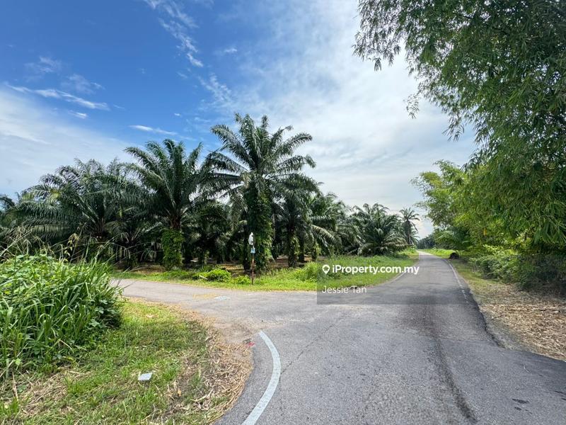 Agricultural Land for Sale in Gelang Patah, Johor by Jessie Tan - iProperty.com.my
