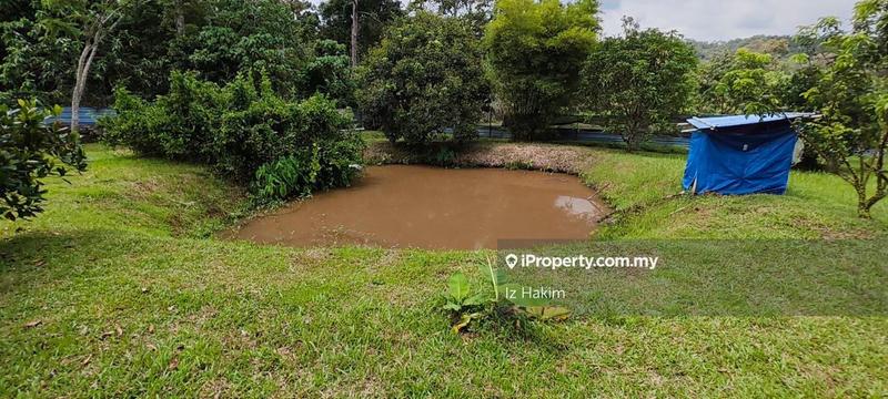 Agricultural Land for Sale in Batang Kali, Selangor by Iz Hakim - iProperty.com.my