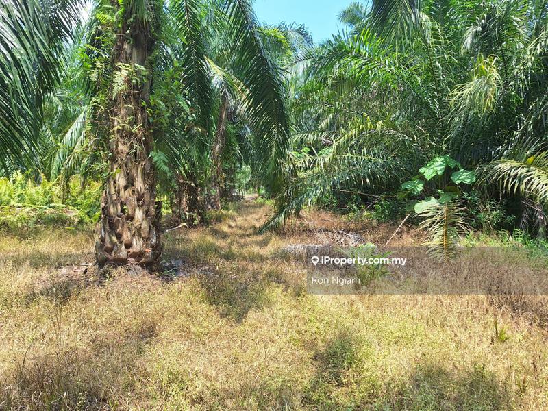 Tanah Kediaman untuk Dijual di Telok Panglima Garang, Selangor oleh Ron Ngiam - iProperty.com.my