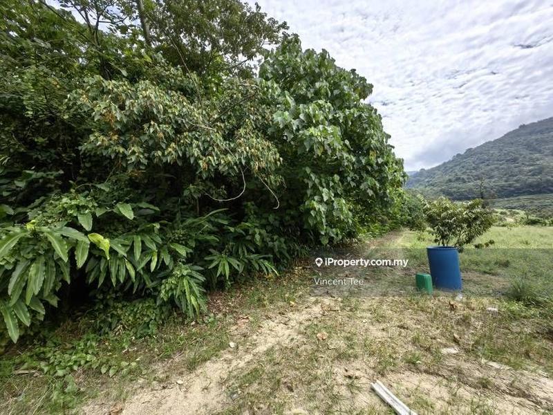 Tanah Pertanian untuk Dijual di Kampung Sungai Lalang, Semenyih oleh Vincent Tee - iProperty.com.my