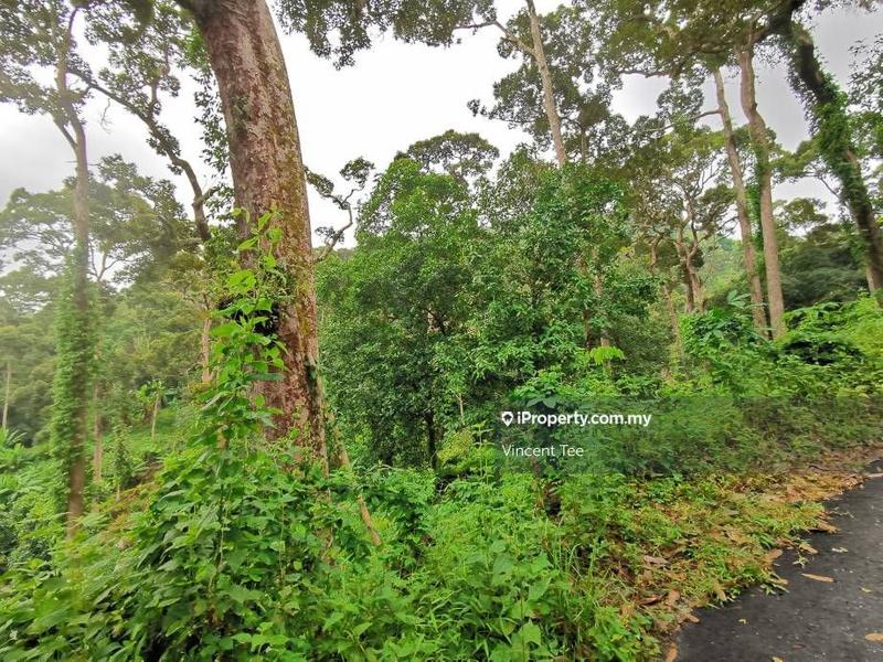 Tanah Pertanian untuk Dijual di Bukit Relau, Balik Pulau oleh Vincent Tee - iProperty.com.my