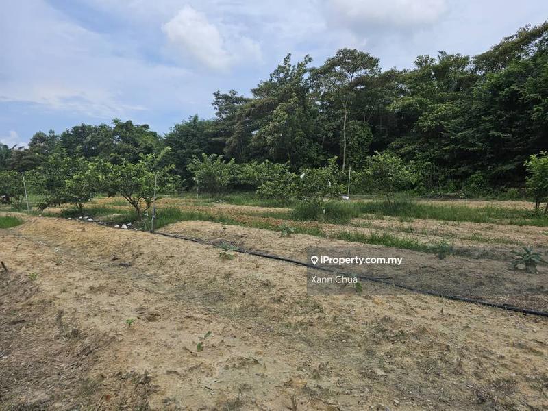 Agricultural Land for Sale in Taman Bemban Baru, Bemban by Xann Chua - iProperty.com.my