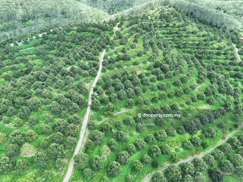 Tanah Pertanian untuk Dijual di Kerling, Selangor oleh Iz Hakim - iProperty.com.my