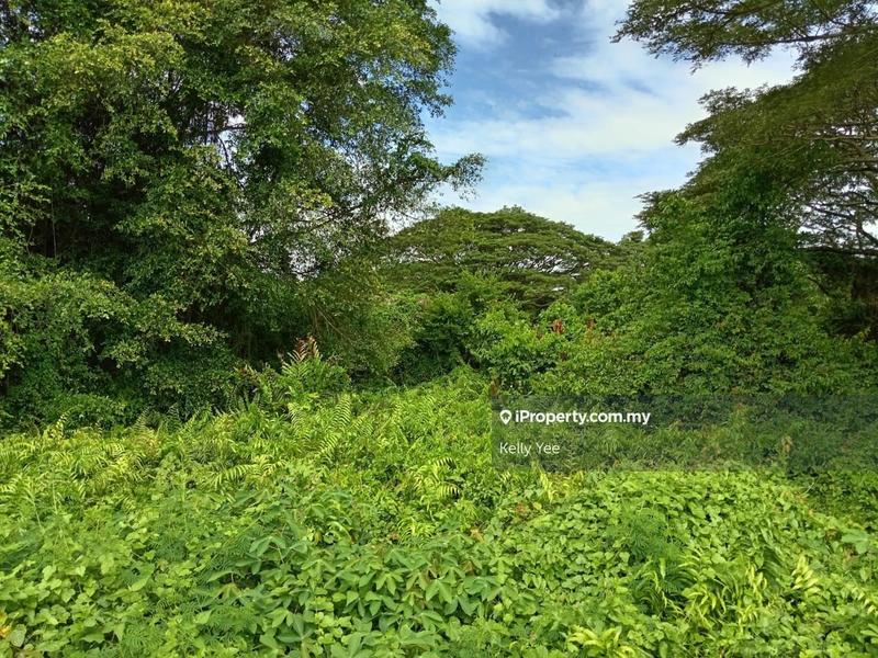 For Sale - First Grade Residential Land @ Penaga for Sale