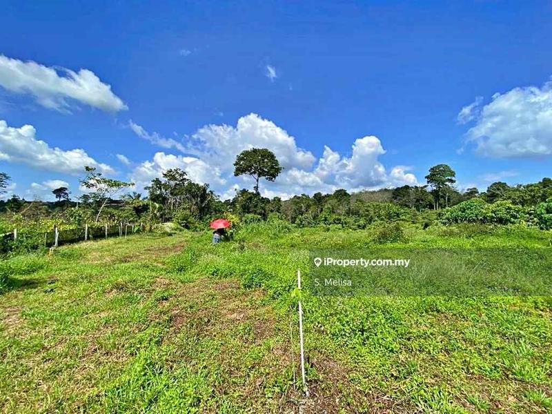 Agricultural Land for Sale in Bukit Damar, Lanchang, Temerloh by S. Melisa - iProperty.com.my