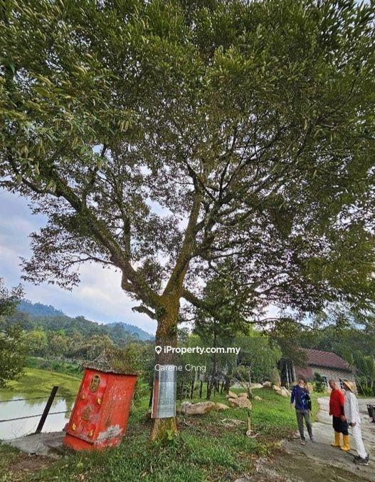 Agricultural Land for Sale in Hulu Langat, Selangor by Carene Chng - iProperty.com.my