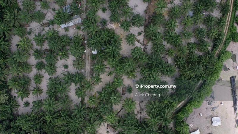 Agricultural Land for Sale in Valdor, Sungai Jawi by Jack Cheong - iProperty.com.my