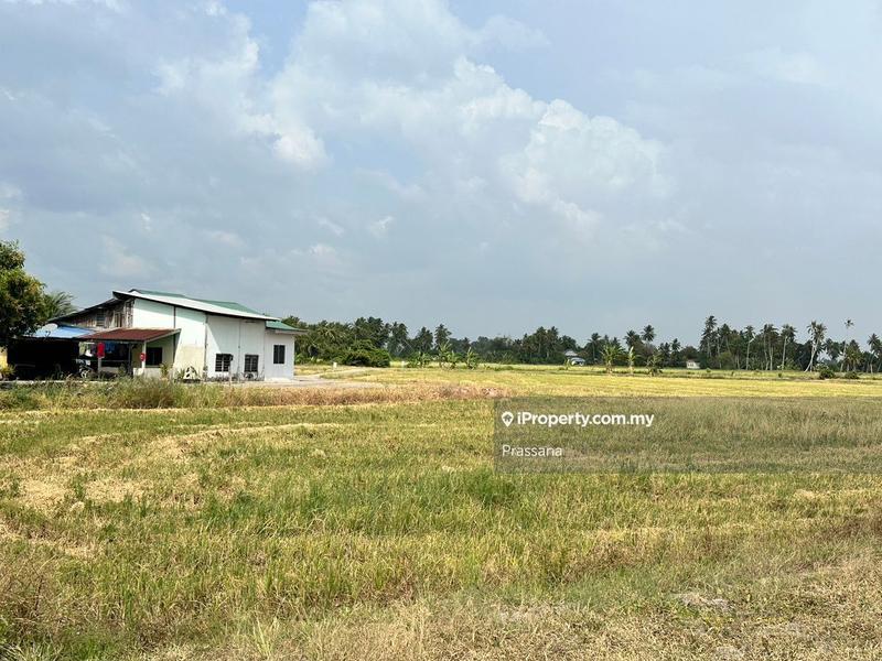 Agricultural Land for Sale in Pasir Gebu, Penaga by Prassana - iProperty.com.my