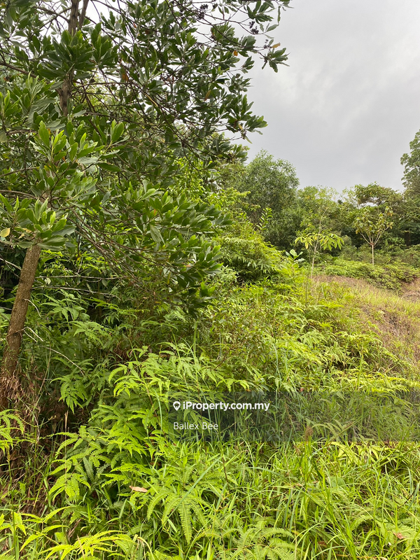 Tanah Kediaman untuk Dijual di Kayangan Heights, Shah Alam oleh Ballex Bee - iProperty.com.my