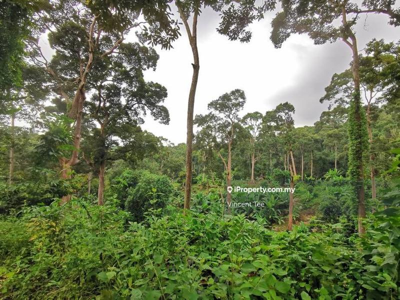 Tanah Pertanian untuk Dijual di Bukit Relau, Balik Pulau oleh Vincent Tee - iProperty.com.my