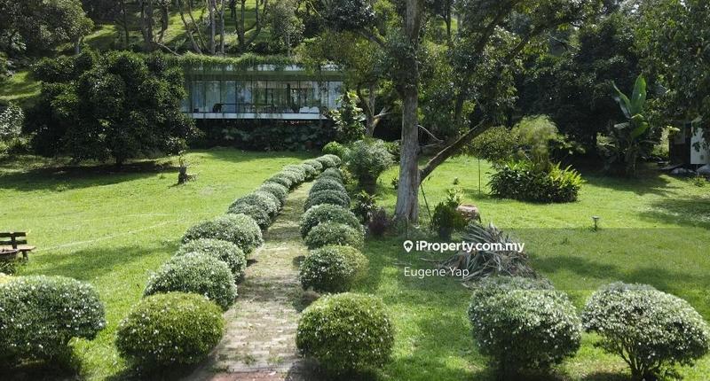 Agricultural Land for Sale in Bukit Tinggi, Bentong by Eugene Yap - iProperty.com.my