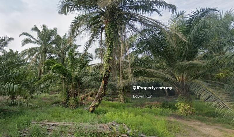 For Sale - Agriculture Land at Sungai Rambai Telok Panglima Garang