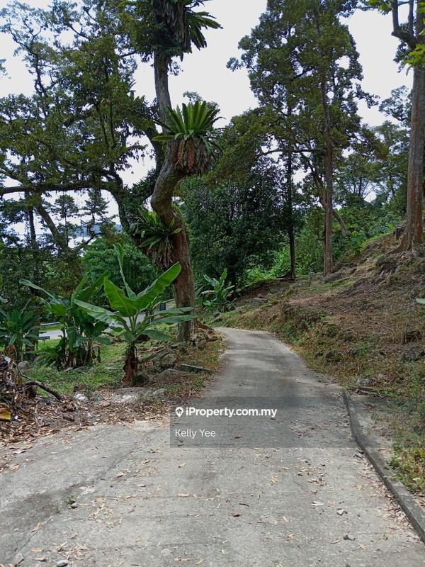 Tanah Pertanian untuk Dijual di Mengkuang Dam Orchard Farm for Sale, Bukit Mertajam oleh Kelly Yee - iProperty.com.my