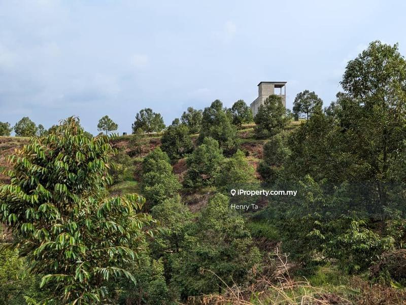 Agricultural Land for Sale in Bandar Baru Kuala Lipis, Kuala Lipis by Henry Ta - iProperty.com.my