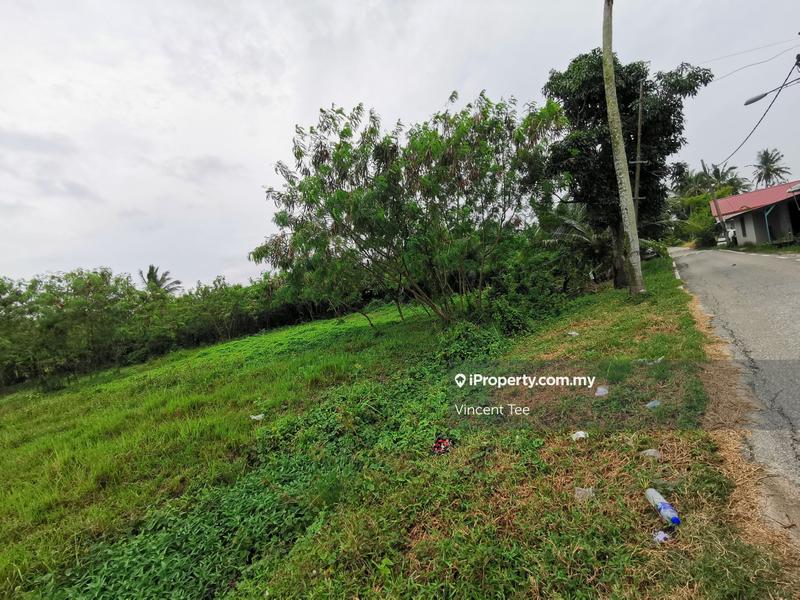Tanah Pertanian untuk Dijual di Kelicap Senggarang, Batu Pahat oleh Vincent Tee - iProperty.com.my