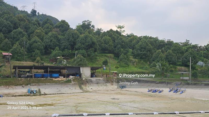 Tanah Pertanian untuk Dijual di Kampung Sungai Tekali, Hulu Langat oleh Jimmy Goh - iProperty.com.my