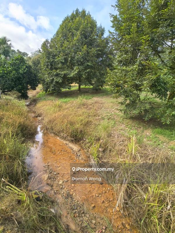 Agricultural Land for Sale in Karak, Karak by Damon Wong - Exterior - iProperty.com.my