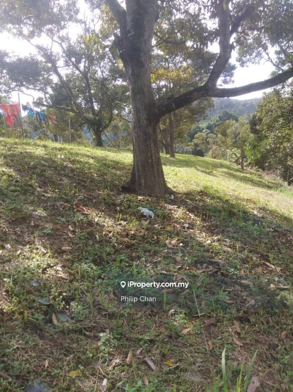 Agricultural Land for Sale in Kampung Perting, Bentong by Philip Chan - iProperty.com.my