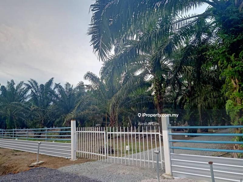 Agricultural Land untuk Dijual di Iskandar Zone C - Kukup, Kukup oleh Alexius Lim - iProperty.com.my