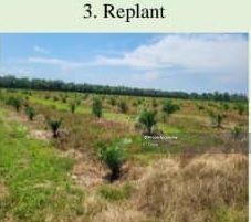 Tanah Pertanian untuk Dijual di Taman Lekir, Sitiawan oleh K.T Chong - iProperty.com.my