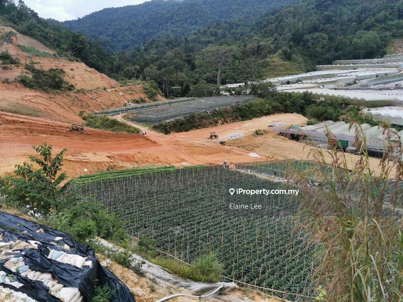 For Sale - Kampung Pulai