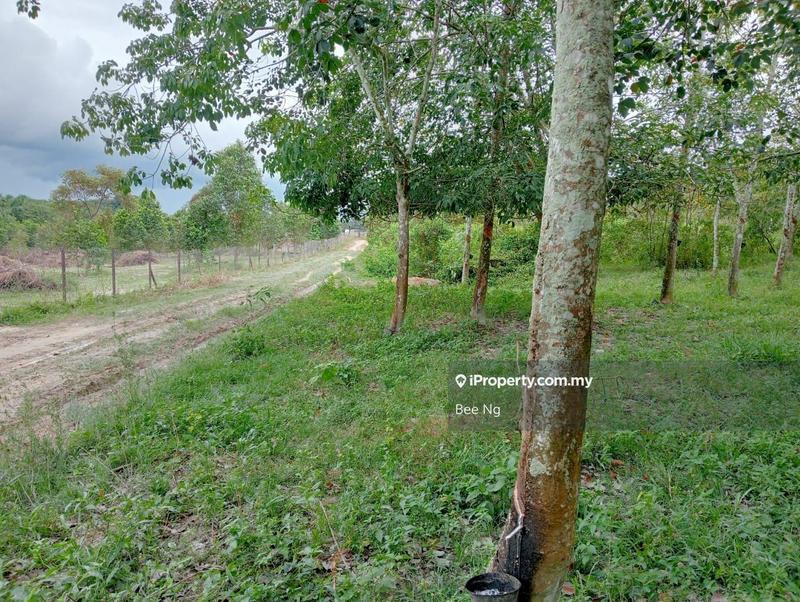 For Sale - Kesang Pajak