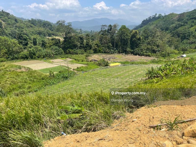 Agricultural Land for Sale in Bukit Tinggi, Bentong, Bentong by Damon Wong - iProperty.com.my