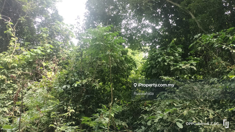 Agricultural Land for Sale in Tanjong Jaga, Yan by Ruswahida - iProperty.com.my