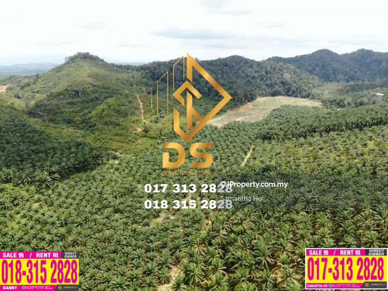 For Sale - Freehold Agriculture Land