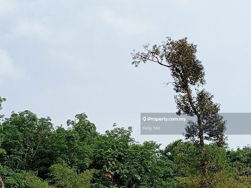 Tanah Pertanian untuk Dijual di Durian Orchard Farm @ Machang Bubok for Sale, Bukit Mertajam oleh Kelly Yee - iProperty.com.my
