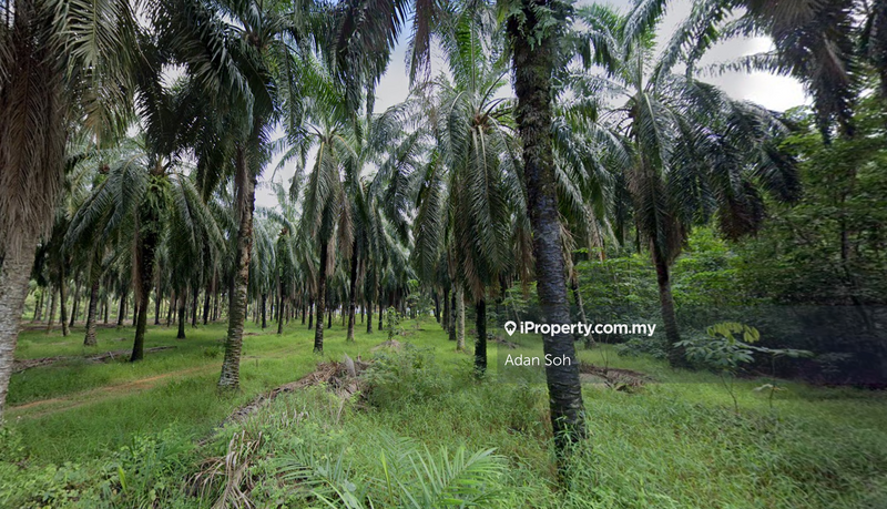 For Sale - Kuala Selangor @ Bestari Jaya, Industrial Land, 2 piece land side by side