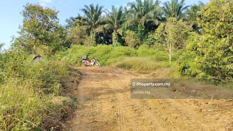 Tanah Pertanian untuk Dijual di Seri Telemong, Telemong oleh James Ng - iProperty.com.my