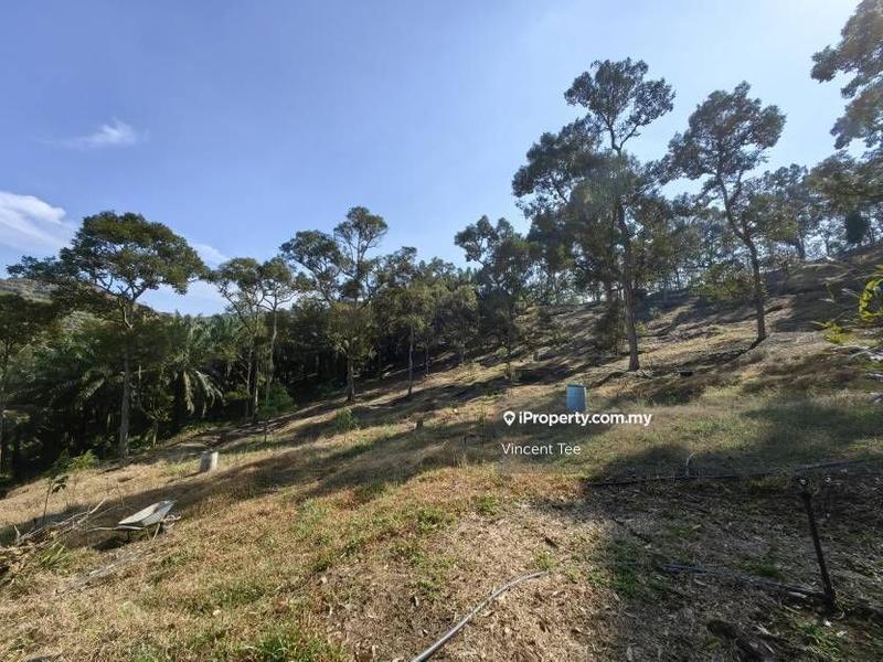 Tanah Pertanian untuk Dijual di Cheroh, Raub oleh Vincent Tee - iProperty.com.my