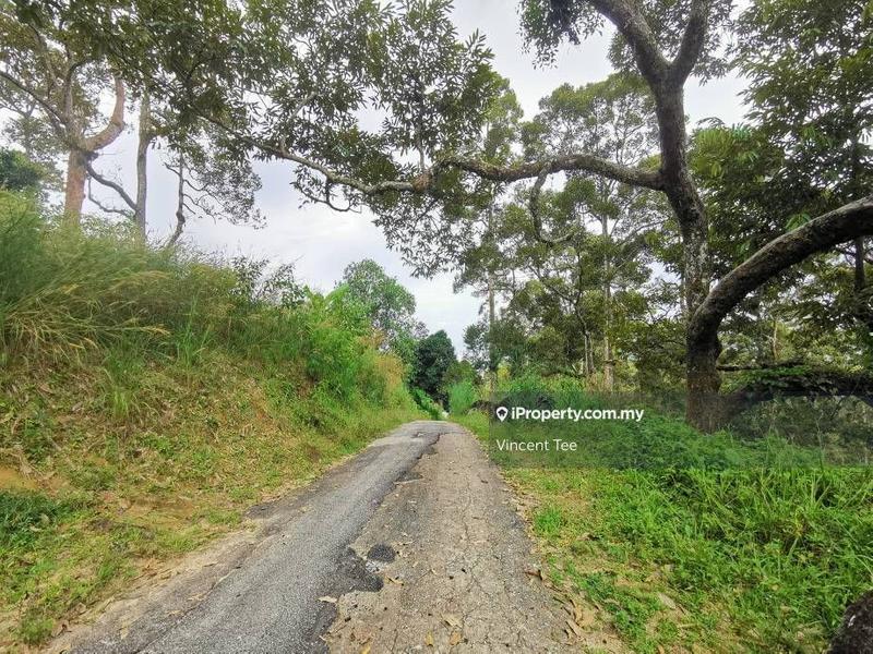 Agricultural Land for Sale in Sungai Nibong, Bayan Lepas by Vincent Tee - iProperty.com.my